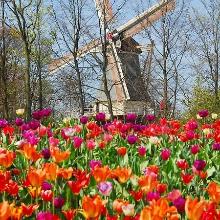 Maison d'hôtes Nr22 4*