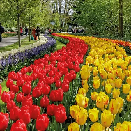 Maison d'hôtes Nr22 Leyde