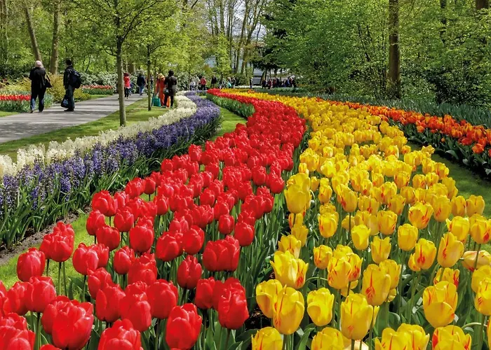 بيت ضيافة Nr22 ليدن