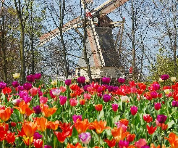 Casa de hóspedes Nr22 4*